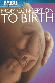 From Conception to Birth Trailer