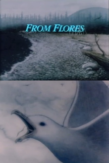 From Flores Trailer