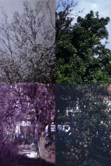 From Four Seasons Trailer