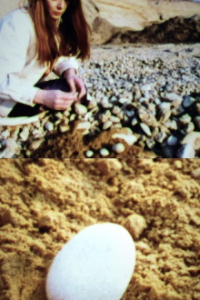 From One To Four Pebbles Trailer