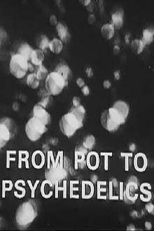 From Pot To Psychedelics Trailer