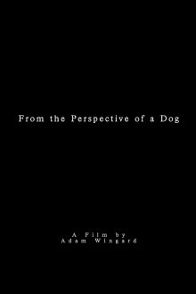From the Perspective of a Dog Trailer