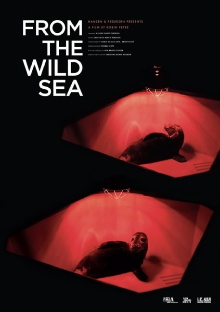 From the Wild Sea Trailer