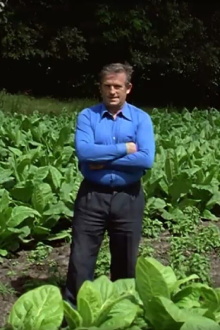 "Früher haben wir Tabak geliefert..." - Tabakanbau in der Uckermark 1993/94 Trailer