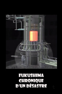 Fukushima, chronique d'un désastre Trailer
