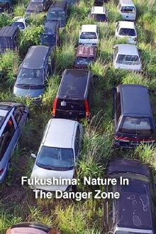 Fukushima: Nature In The Danger Zone Trailer