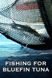 Full Tuna Trailer