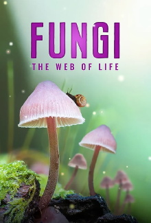 Fungi: The Web of Life Trailer