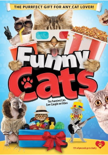 Funny Cats Trailer