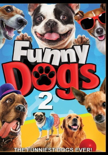 Funny Dogs 2 Trailer