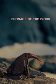 Furnace of the Birds Trailer