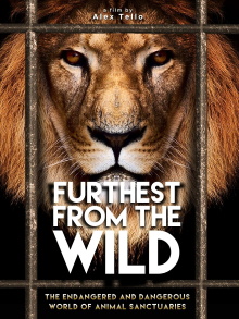 Furthest from the Wild Trailer
