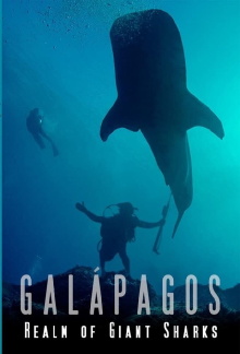 Galapagos Realm Of Giant Sharks Trailer