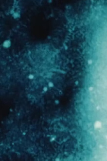 Galaxies [a love letter] Trailer