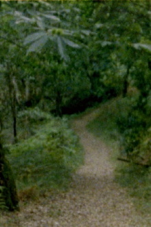 Galicia – Apuntamentos Trailer