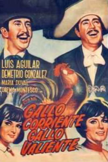 Gallo corriente, gallo valiente Trailer