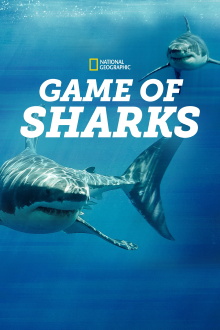 Game of Sharks Trailer