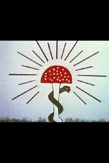 Garden Trailer