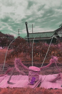 Gatakami Kagura Harvest Dance Trailer