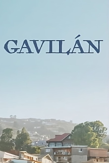 Gavilàn Trailer