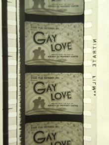 Gay Love Trailer