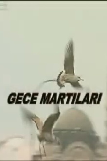 Gece Martıları Trailer