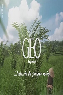 GEO Reportage - L'odyssée du phoque moine Trailer
