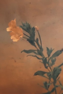 Geological Evidences Trailer