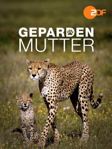 Gepardenmutter Trailer