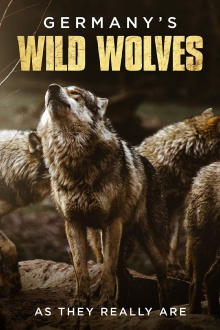 Germany's Wild Wolves - As They Really Are Trailer
