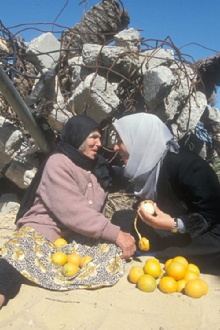 Ghada: Songs of Palestine Trailer