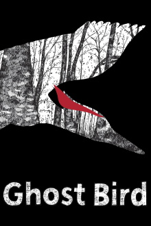 Ghost Bird Trailer