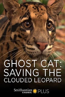 Ghost Cat: Saving the Clouded Leopard Trailer