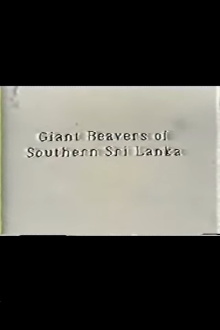 Giant Beavers of Southern Sri Lanka Trailer