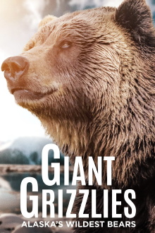 Giant Grizzlies Trailer