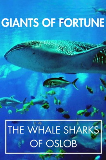 Giants of Fortune: The Whale Sharks of Oslob Trailer