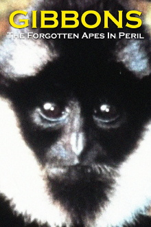 Gibbons: The Forgotten Apes In Peril Trailer