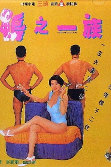 Gigolo Club Trailer