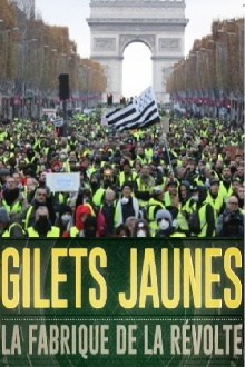 Gilets jaunes La fabrique de la révolte Trailer