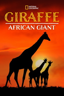 Giraffe: African Giant Trailer