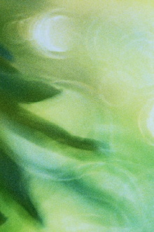 Glide of Transparency Trailer