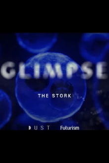 Glimpse Ep 2: The Stork Trailer