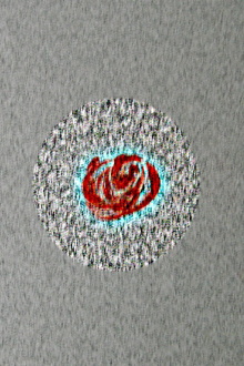 Glimpse of a Brain Trailer