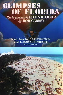 Glimpses of Florida Trailer