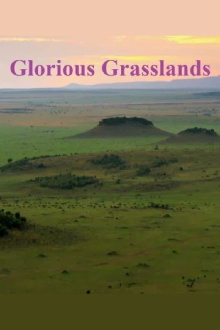 Glorious Grasslands Trailer