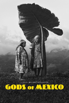 Gods of Mexico Trailer
