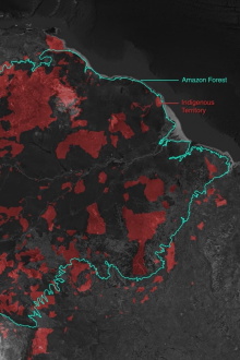 Gold Mining and Violence in the Amazon Rainforest Trailer