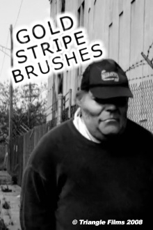 Gold Stripe Brushes Trailer