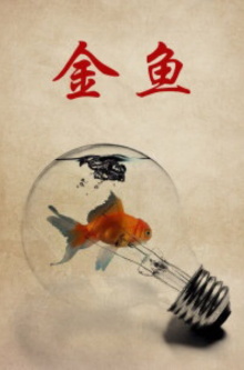 Goldfish Trailer