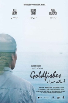 Goldfishes Trailer